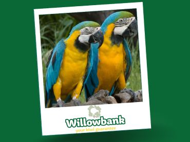 Willowbank Wildlife Reserve