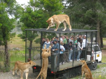 Orana Wildlife Park